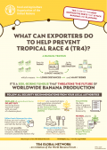 ¿Qué pueden hacer los exportadores para ayudar a prevenir la Raza 4 tropical (R4T)?